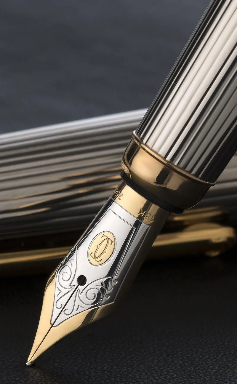 Pilot Vanishing Point Review: Worth the Price?